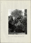 Ewidencja parkowa, skan nr 19