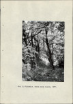 Ewidencja parkowa, skan nr 15