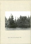 Ewidencja parkowa, skan nr 17