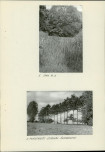 EP - Ewidencja parkowa, skan nr 15