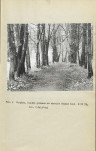 Ewidencja parkowa, skan nr 13