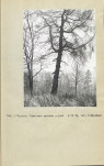 Ewidencja parkowa, skan nr 14