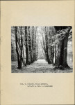 Ewidencja parkowa, skan nr 12