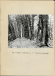Ewidencja parkowa, skan nr 15