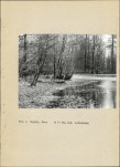 Ewidencja parkowa, skan nr 16