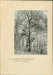 Ewidencja parkowa, skan nr 18