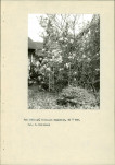 Ewidencja parkowa, skan nr 15