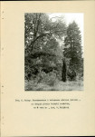 Ewidencja parkowa, skan nr 19