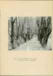 Ewidencja parkowa, skan nr 15