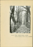 Ewidencja parkowa, skan nr 17