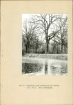 Ewidencja parkowa, skan nr 13