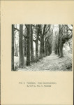 Ewidencja parkowa, skan nr 14