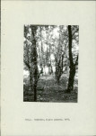 Ewidencja parkowa, skan nr 15