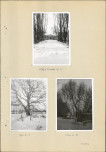 Ewidencja parkowa, skan nr 14