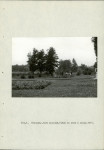 Ewidencja parkowa, skan nr 11