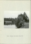 Ewidencja parkowa, skan nr 13
