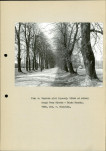 Ewidencja parkowa, skan nr 15