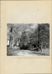 Ewidencja parkowa, skan nr 12