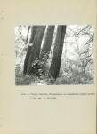 Ewidencja parkowa, skan nr 16