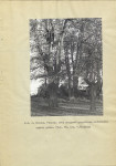 Ewidencja parkowa, skan nr 12