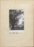 Ewidencja parkowa, skan nr 16