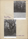 Ewidencja parkowa, skan nr 19