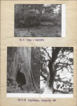 Ewidencja parkowa, skan nr 20