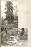 Ewidencja parkowa, skan nr 19