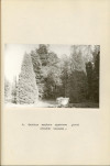 Ewidencja parkowa, skan nr 21