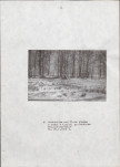 EP - Ewidencja parkowa, skan nr 22