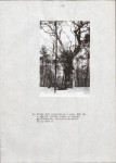 EP - Ewidencja parkowa, skan nr 23