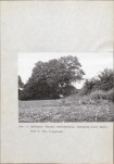 EP - Ewidencja parkowa, skan nr 10