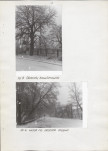 Ewidencja parkowa, skan nr 12