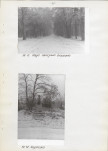 Ewidencja parkowa, skan nr 16
