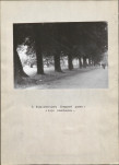 Ewidencja parkowa, skan nr 19