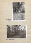 Ewidencja parkowa, skan nr 17