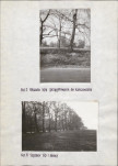 Ewidencja parkowa, skan nr 18