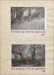 Ewidencja parkowa, skan nr 19