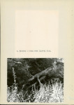 Ewidencja parkowa, skan nr 21