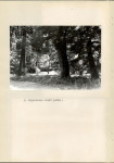 Ewidencja parkowa, skan nr 23