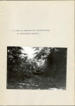 Ewidencja parkowa, skan nr 26