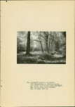 EP - Ewidencja parkowa, skan nr 40
