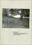 EP - Ewidencja parkowa, skan nr 23