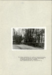 EP - Ewidencja parkowa, skan nr 20