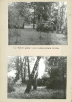 Ewidencja parkowa, skan nr 20