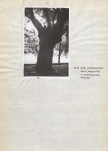 EP - Ewidencja parkowa, skan nr 14