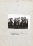 EP - Ewidencja parkowa, skan nr 28