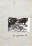 EP - Ewidencja parkowa, skan nr 20