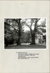 EP - Ewidencja parkowa, skan nr 17