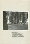EP - Ewidencja parkowa, skan nr 21